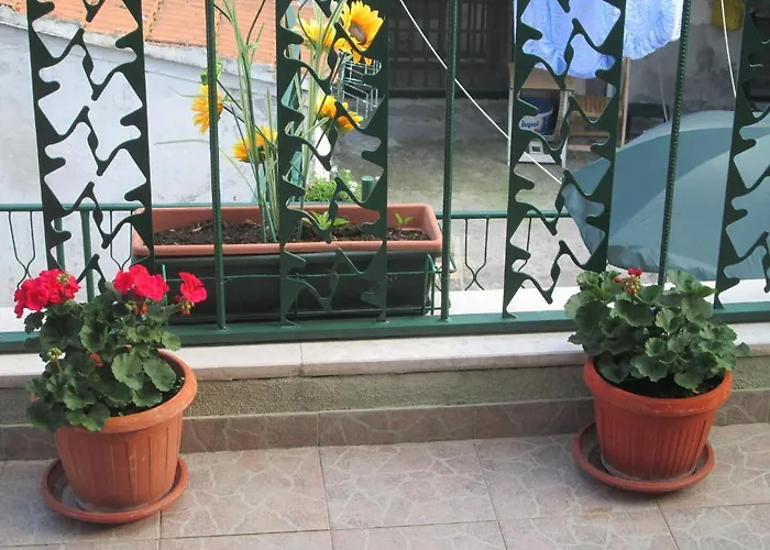 Charming With Balcony Affittacamere Spalato