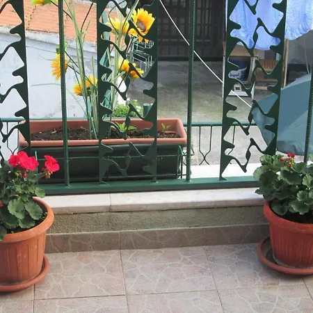 Charming With Balcony Gasthuis Split